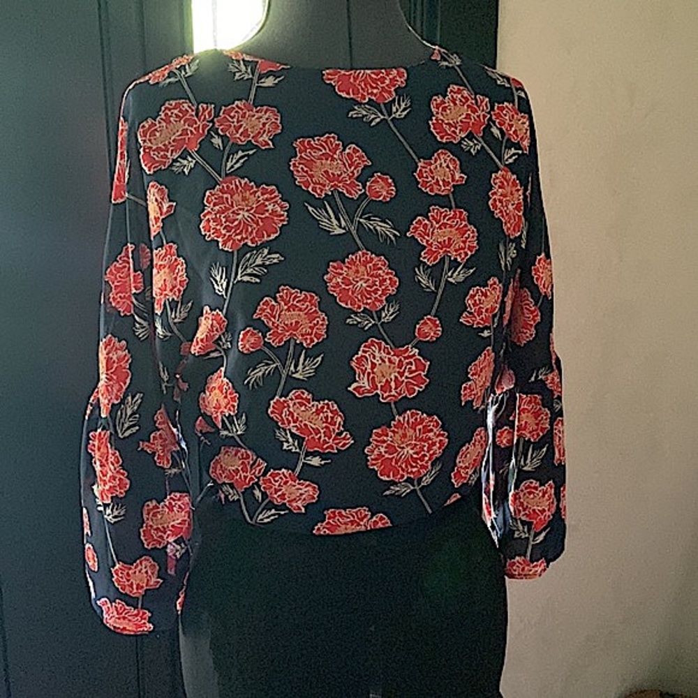 Banana Republic Red Floral Blouse